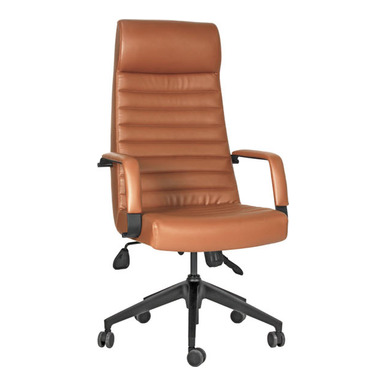 rubber boyalı kol plastik yönetici koltuğu