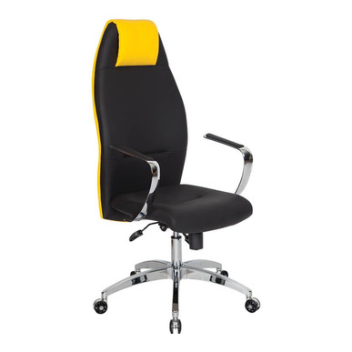 sur yönetici koltuğu