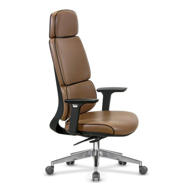 Wrangel Ergonomik Büro Yönetici Koltuğu