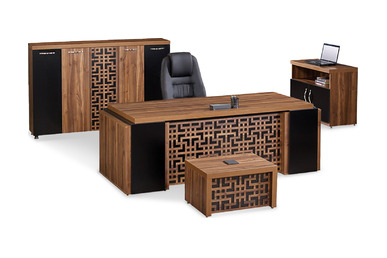 lionne yönetici takım 220cm