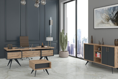 malerba yönetici takımı - küçük detay görsel 2