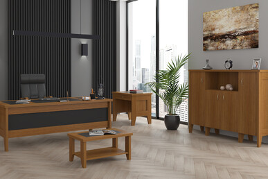 nevrada yönetici takımı 180cm