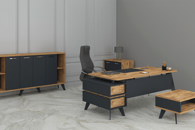 ransev modern yönetici takımı