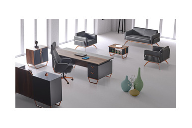 strom metalik renkli ayaklı yönetici takımı - küçük detay görsel 2