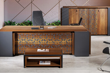 theori yönetici takımı