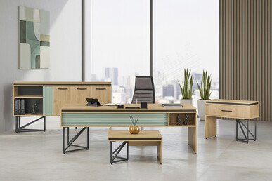 Vesmora Yönetici Ofis Takımı - Yönetici Takımları